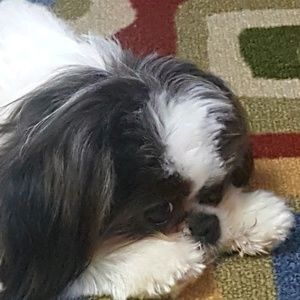 Meet your Posher, Nikki